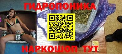 тгк Обь