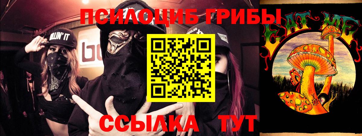 Галлюциногенные грибы Psilocybine cubensis  Псилоцибиновые грибы мицелий  Вход с VPN  Севастополь 