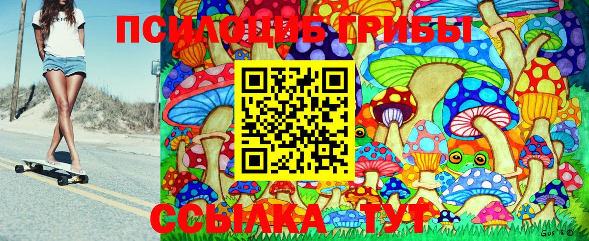 Галлюциногенные грибы Psilocybe Севастополь